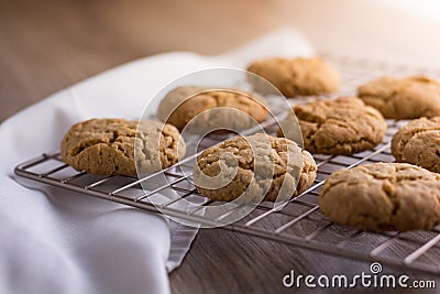Homemade Ginger and Oats biscuits on a metal cooling rack Stock Photo