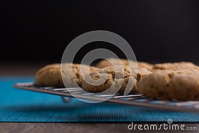 Homemade Ginger and Oats biscuits on a metal cooling rack Stock Photo