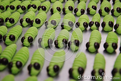 Homemade green caterpillar cookies in rows Stock Photo