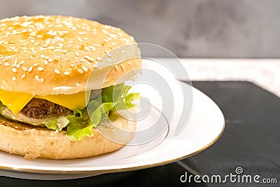 Homemade hamburger on the plate Stock Photo