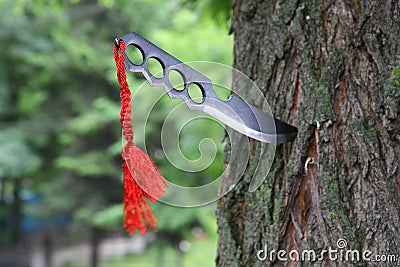 Homemade, handmade, fist knife, black with a red ribbon sticking out of a tree trunk Stock Photo