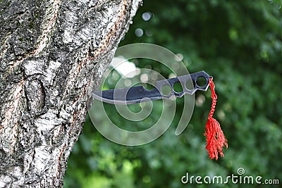 Homemade, handmade, fist knife, black with a red ribbon sticking out of a tree trunk Stock Photo