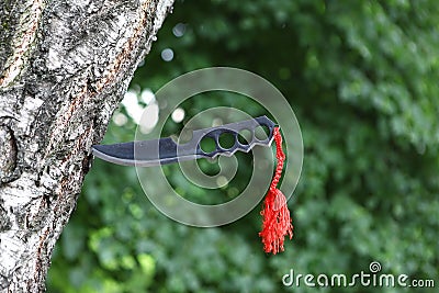 Homemade, handmade, fist knife, black with a red ribbon sticking out of a tree trunk Stock Photo