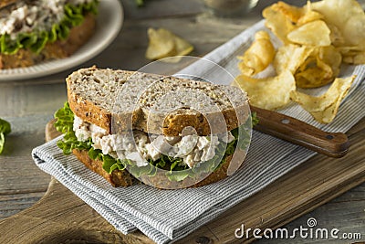 Homemade Healthy Chicken Salad Sandwich Stock Photo