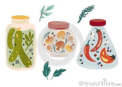 Homemade jars of preserving vegetables. Set of glass jars with preserved vegetables, Pickles, cucumbers, mushrooms and peppers. Vector Illustration
