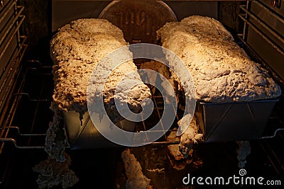 Homemade loaf of bread on kitchen oven Stock Photo