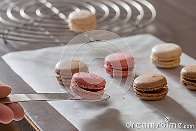Homemade Macaroons in a bakery Stock Photo