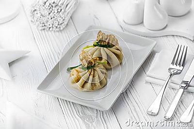 Homemade meat dumplings on a white plate Stock Photo