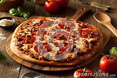 Homemade Meat Loves Pizza Stock Photo
