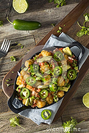 Homemade Mexican Tater Tot Nachos Tachos Stock Photo