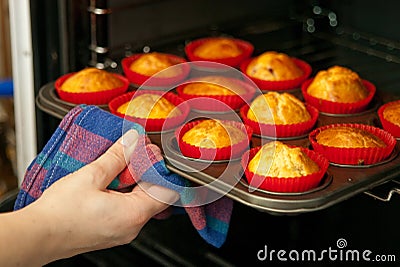 Homemade muffins Stock Photo