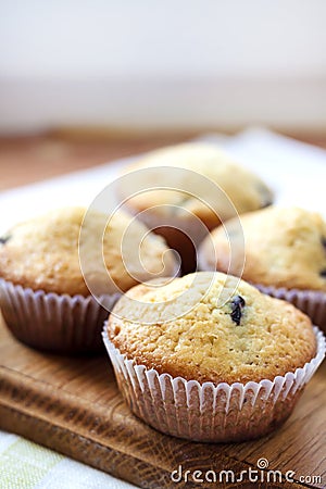 Homemade muffins with blueberries Stock Photo