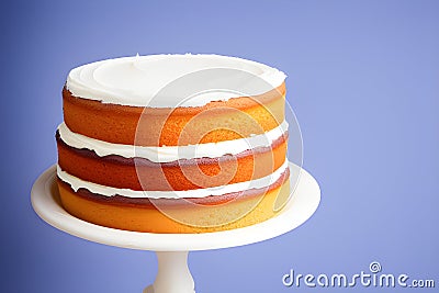 Homemade naked layered vanilla cake with whipped cream Stock Photo