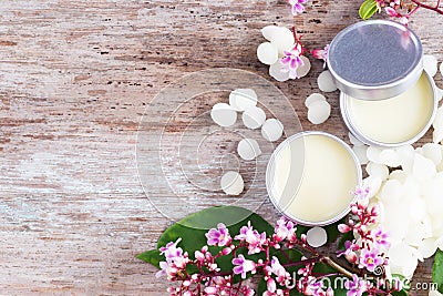 Homemade natural lip balm in tin pots, D.I.Y. projects Stock Photo