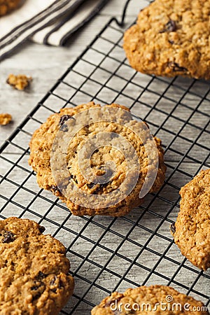 Homemade Oatmeal Raisin Cookies Stock Photo