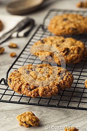 Homemade Oatmeal Raisin Cookies Stock Photo