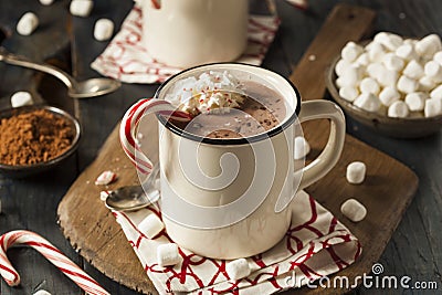 Homemade Peppermint Hot Chocolate Stock Photo