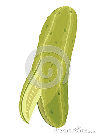 Homemade pickled cucumber. Clip-art of marinated food for packaging, label, menu, signboard or showcase. Fermented Vector Illustration