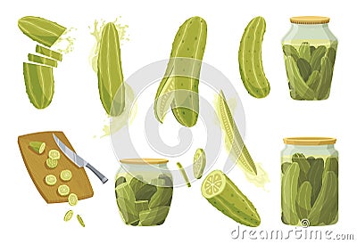 Homemade pickled cucumbers. Clip-arts of marinated food for packaging, label, menu, signboard or showcase. Fermented Vector Illustration