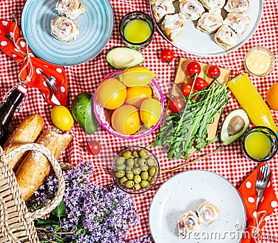 Homemade picnic with fresh fruits, vegetables, salad, orange juice, flowers and baguette on a red plaid. Beautiful still life Stock Photo