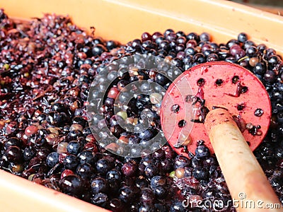 Homemade pounding of dark grapes Stock Photo