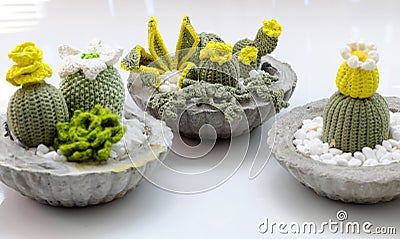 Homemade product for home decoration, group of succulent, cactus crochet in cement pot on white background Stock Photo