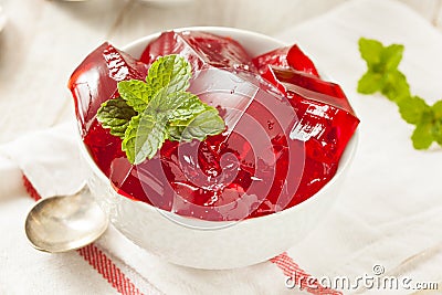 Homemade Red Cherry Gelatin Dessert Stock Photo