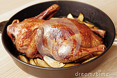 Homemade roast duck with apples. Rustic recipe Stock Photo