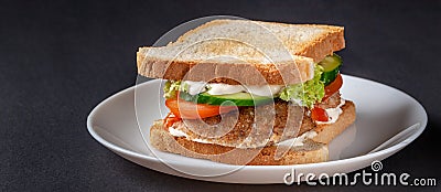 Homemade sandwich made of toast bread, fried egg, melted cheese, tomatoes, cucumber, lettuce, burgers and mayonnaise sauce. Stock Photo