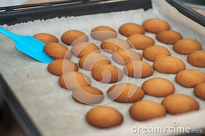 Homemade shortbread cookies on a baking sheet Stock Photo