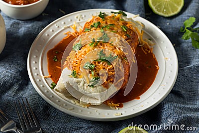 Homemade Spicy Smothered Beef Burrito Stock Photo