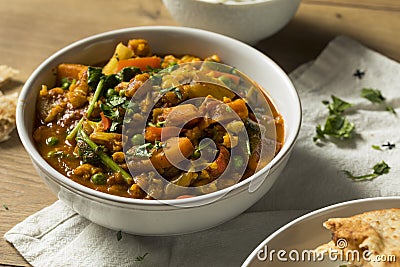 Homemade Spicy Vegan Vegetable Curry Stock Photo