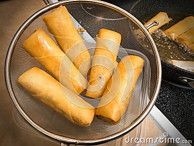 Homemade Spring Rolls Stock Photo