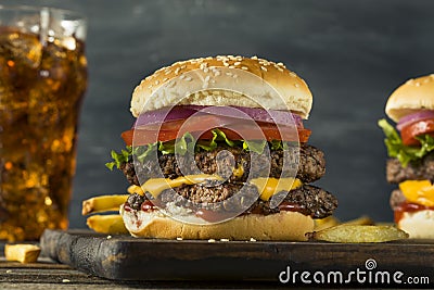 Homemade Square Beef Cheeseburger Stock Photo