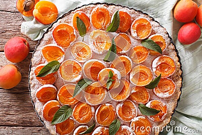 Homemade Tart with apricot macro in baking dish. Horizontal top Stock Photo