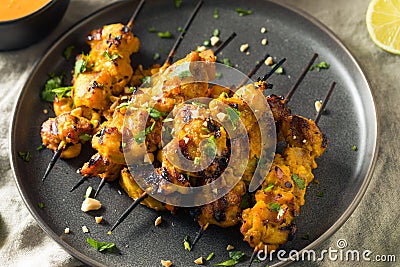 Homemade Thai Chicken Satay Stock Photo