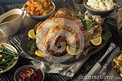 Homemade Thanksgiving Turkey Dinner Stock Photo