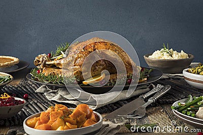 Homemade Thanksgiving Turkey Dinner Stock Photo