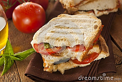 Homemade Tomato and Mozzarella Panini Stock Photo