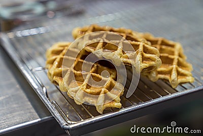 Homemade waffle stack. Delicious Waffle Stock Photo