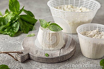 Homemade whey ricotta cheese or cottage cheese with basil ready to eat. Vegetarian healthy, nutritious diet food Stock Photo