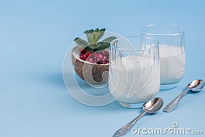 Homemade yogurt in two glasses on a blue background. Garnished with mint and cranberries. Healthy diet food. Vegetarian food Stock Photo