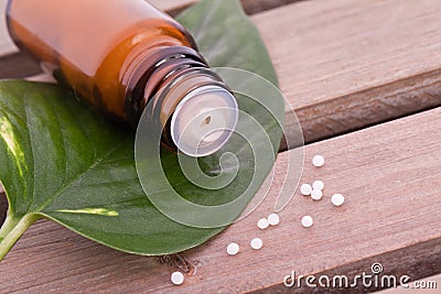 Homeopathic globule Stock Photo