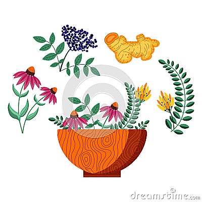 Homeopathic Plants Wooden Bowl with Herbs Vector Illustration