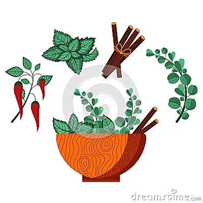 Homeopathic Plants Wooden Bowl with Herbs Vector Illustration