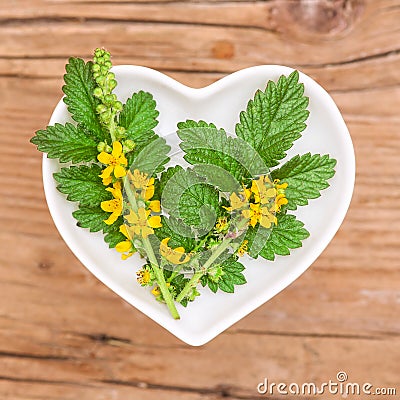 Homeopathy and cooking with agrimony Stock Photo