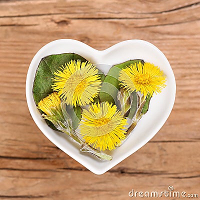 Homeopathy and cooking with coltsfoot Stock Photo