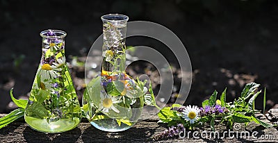 Homeopathy and cooking with herbs Stock Photo