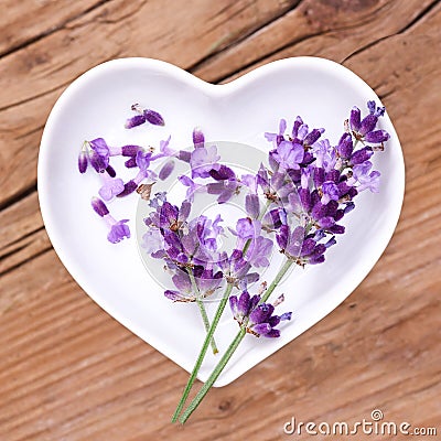 Homeopathy and cooking with lavender Stock Photo