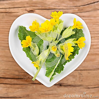 Homeopathy and cooking with primrose Stock Photo